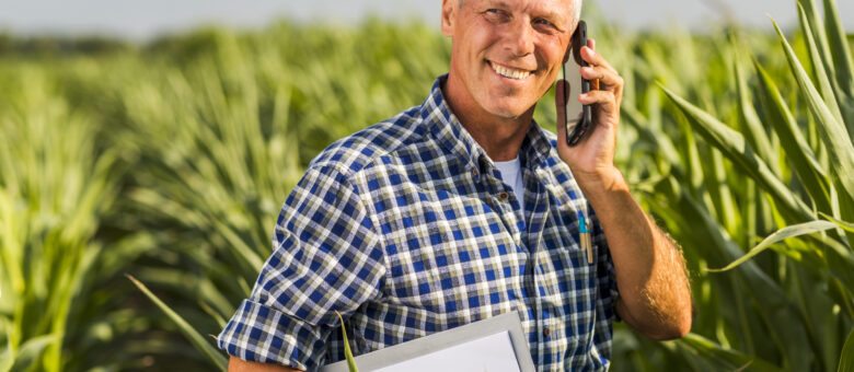 Arrendamento Rural: Entenda os Aspectos Legais e Contábeis